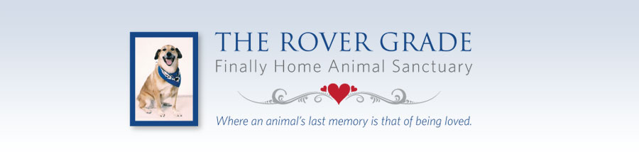 The Rover Grade Finally Home Animal Sanctuary